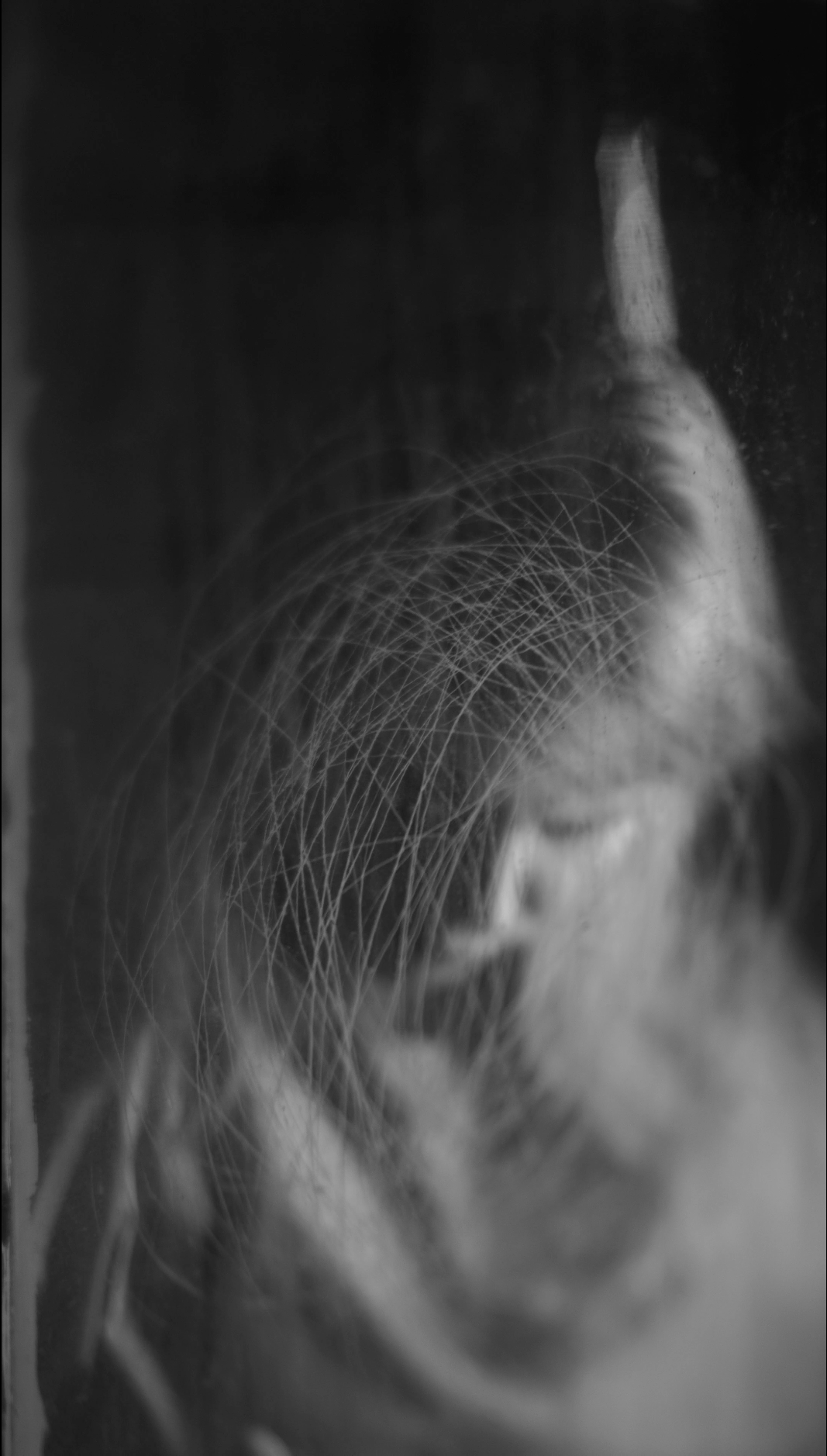 Видеоинсталляция Место Пробела. Художественная группа «Нежные Бабы»