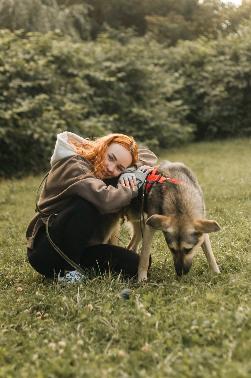 Прогулки и волонтерство. Забери домой друга