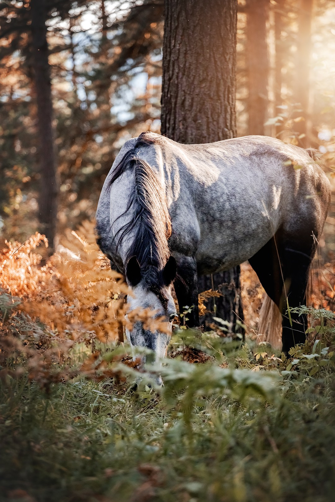 Осенний Горный Алтай '23. BrisArts