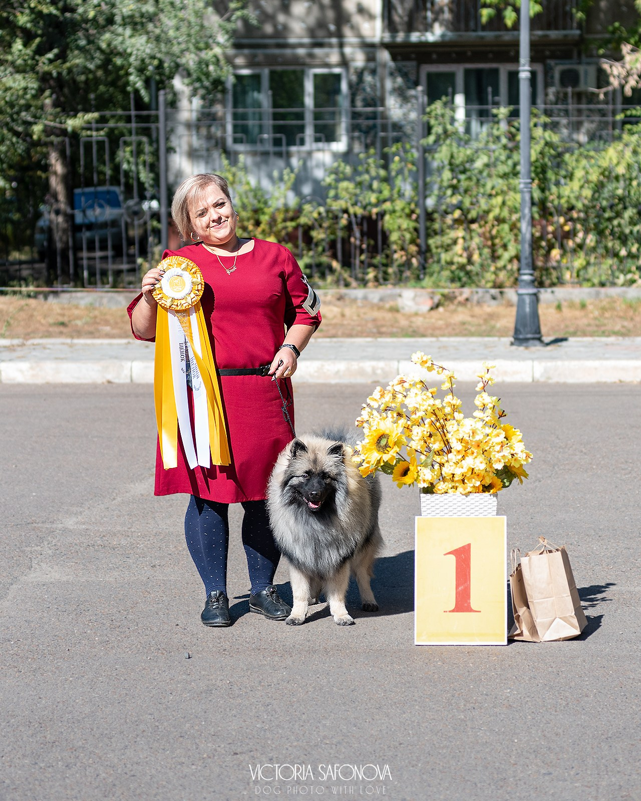 15 сентября 2024. Благовещенск. Монопородная выставка шпицев. Фотограф анималист Благовещенск. Сафонова Виктория