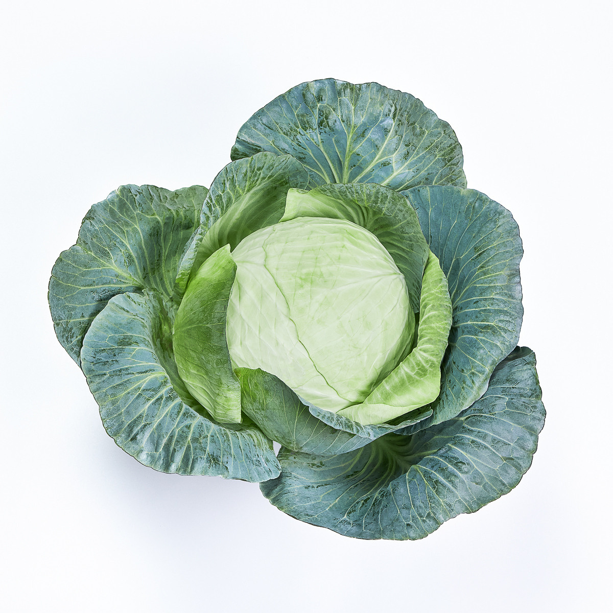 — продукты питания (food)