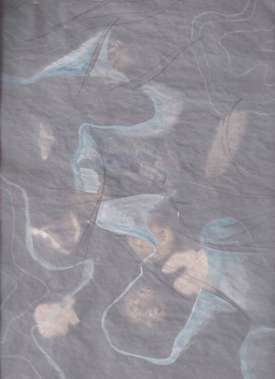 SEDIMENTS AND FOSSILS. Xexexena.ru