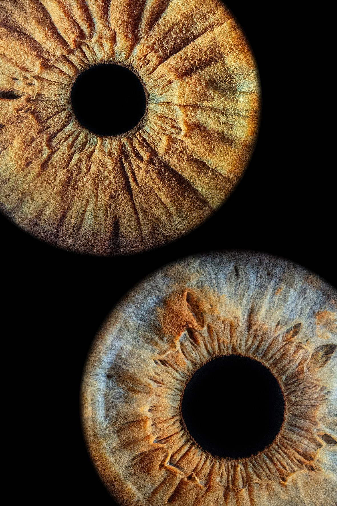 Примеры работ. Мой глаз