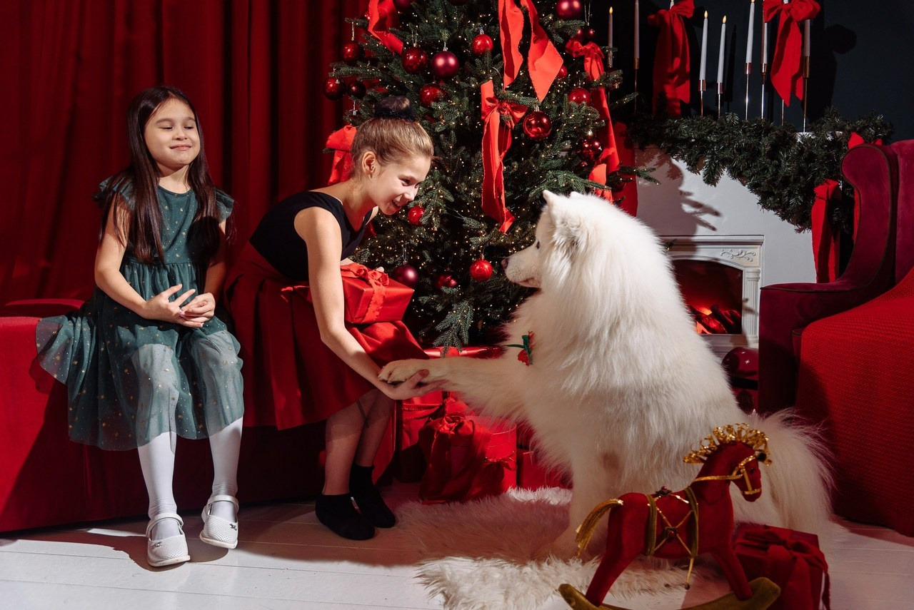 Отзывы. Свадебный фотограф в Перми Алексей Поляков