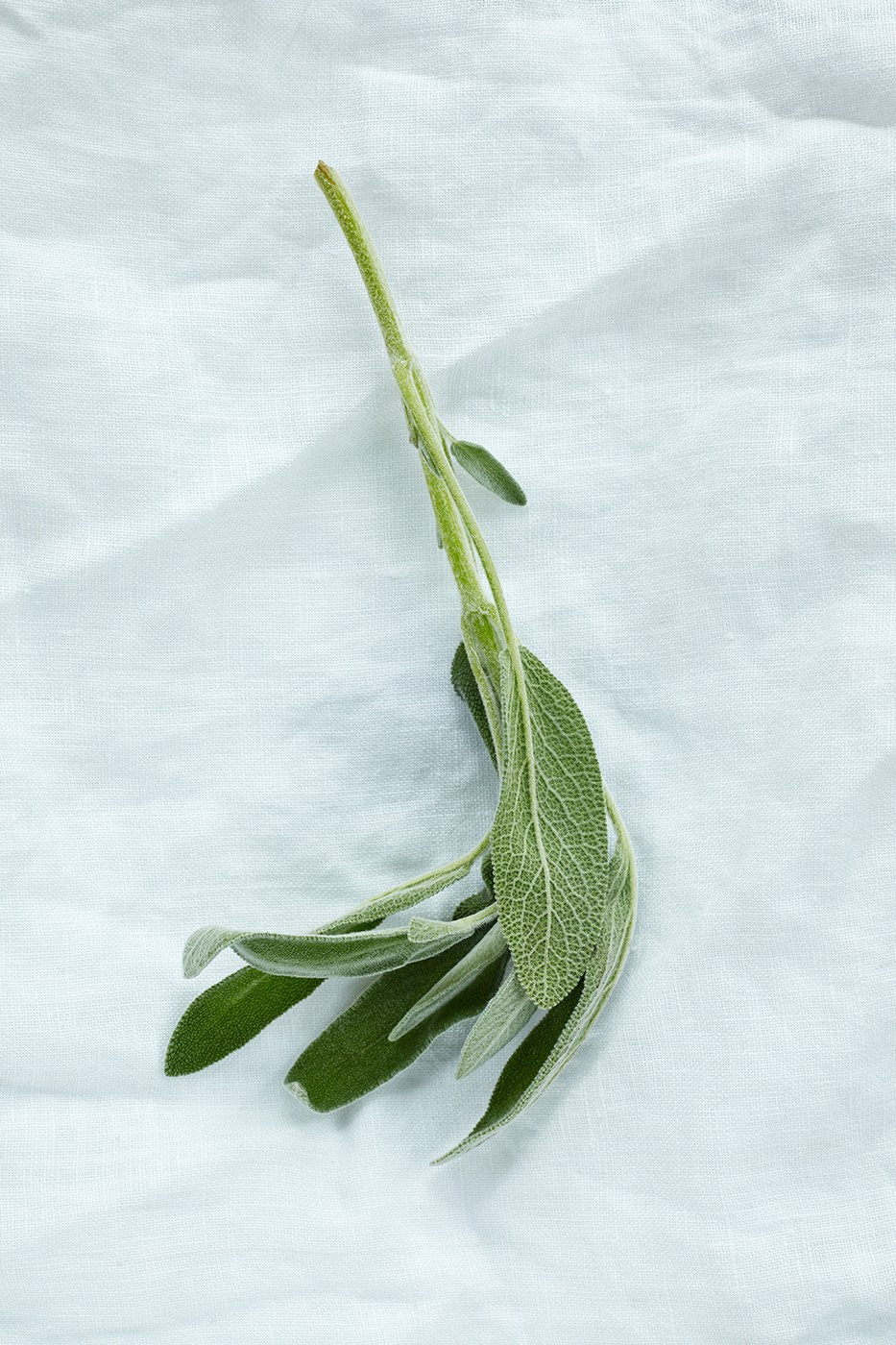 Food photographer. Евгений Петровский — Фуд-съемка и предметная съемка в Москве