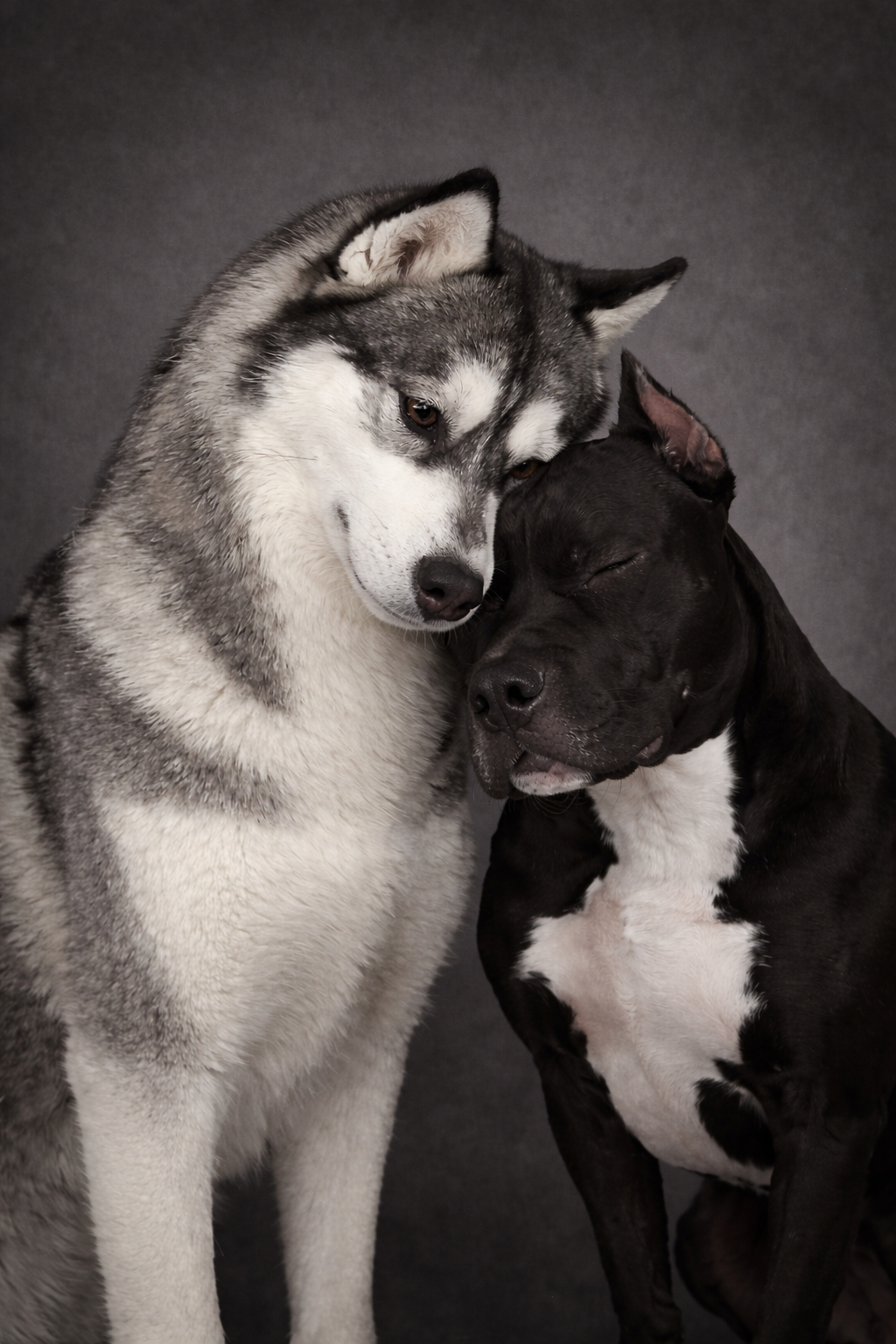 Обработка фото