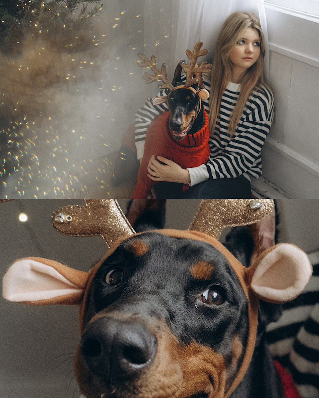 Саша и Асти. Фотограф анималист в Москве и Санкт-Петербурге Свиридова Анна