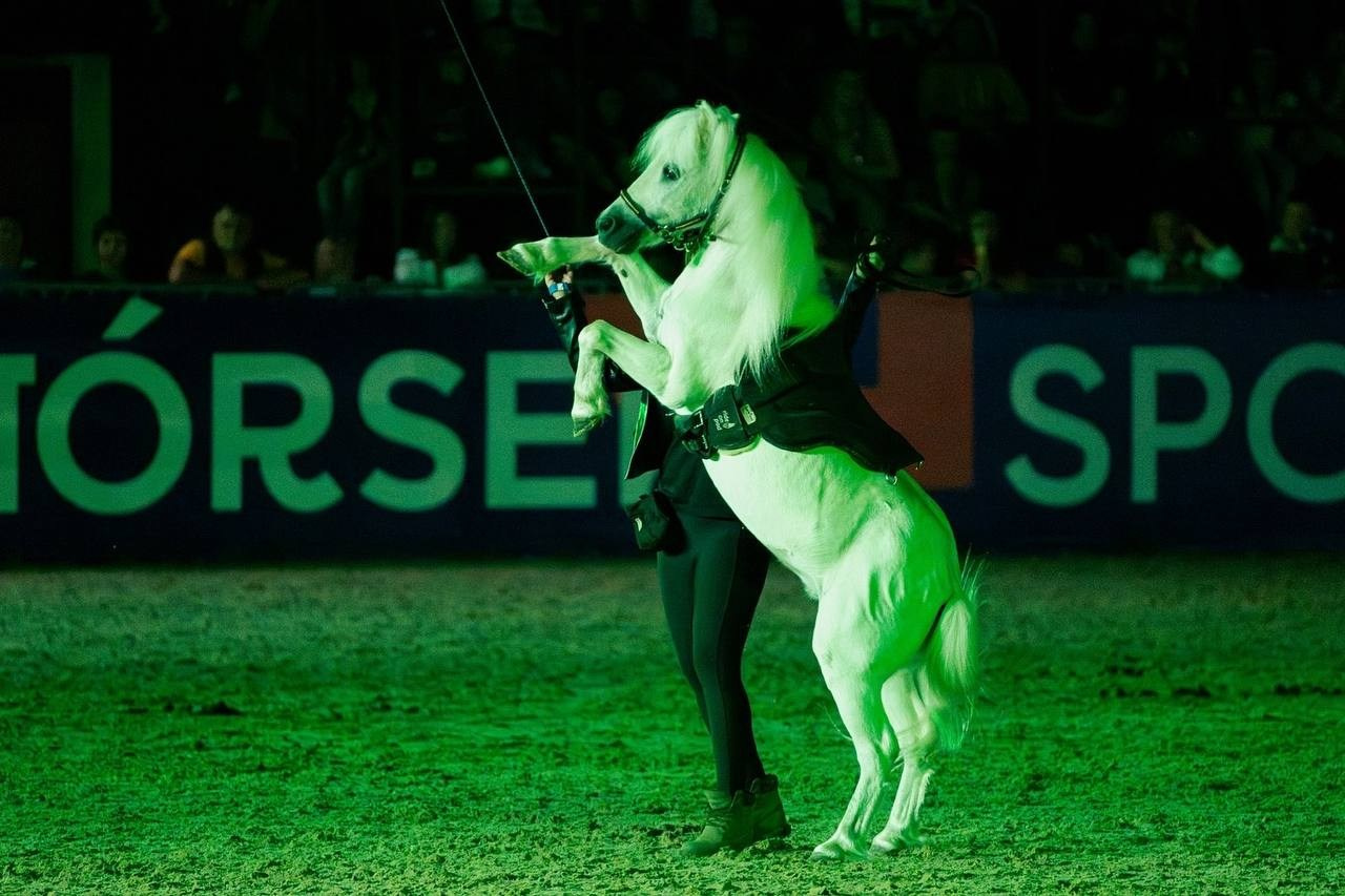 Иваново Поле — 2025. Куракина Дарья • Конный фотограф