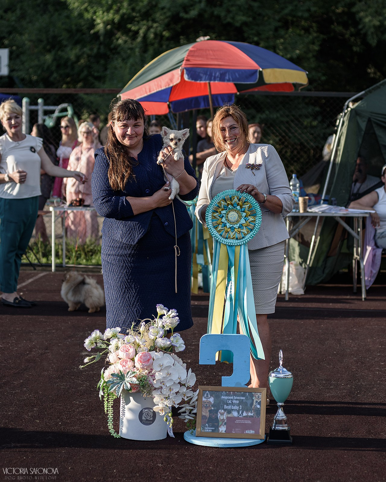12–13 августа 2023 Благовещенск. Фотограф анималист Благовещенск. Сафонова Виктория