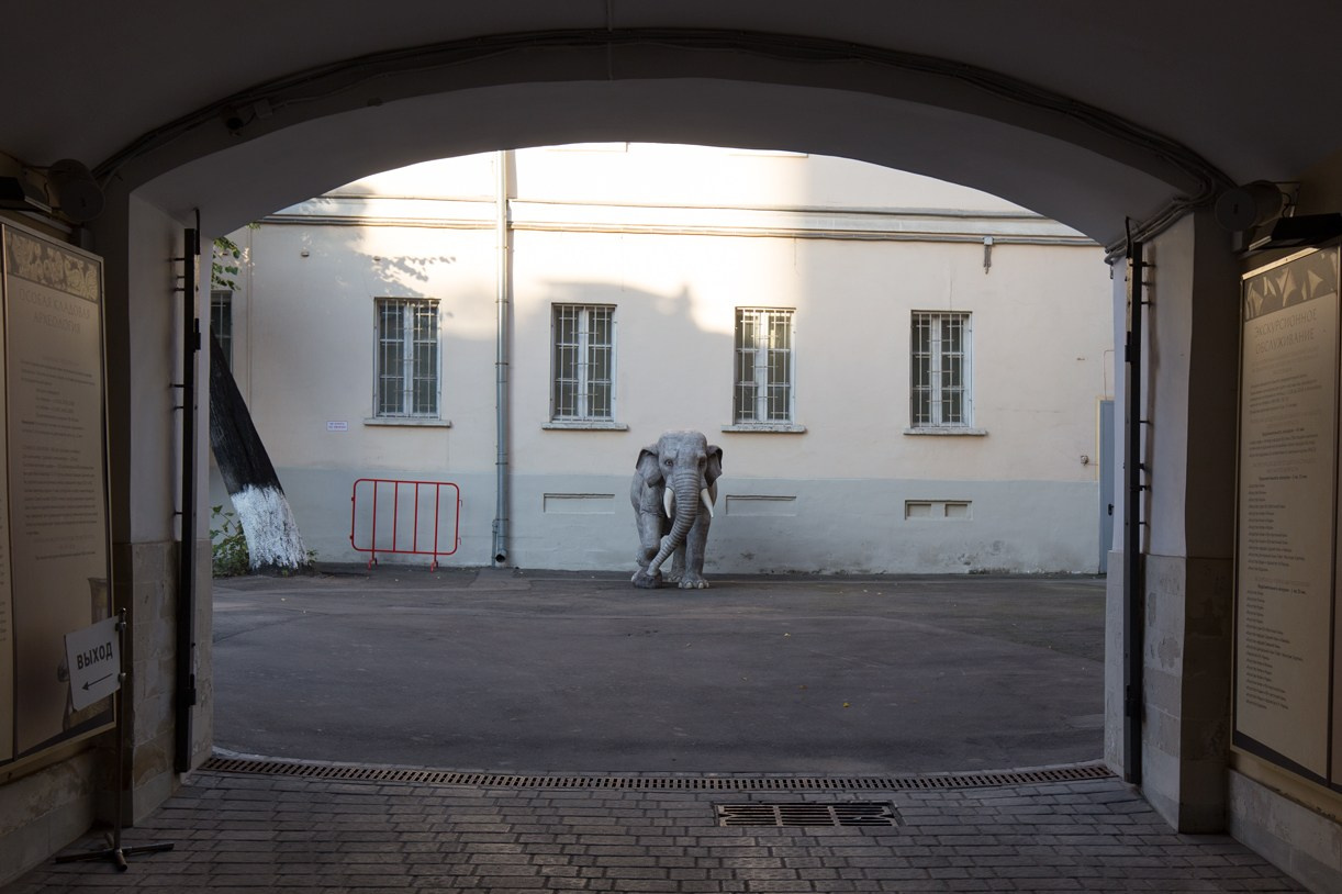 Прогулки по Москве. Владислав Ежокин — travel-фотограф