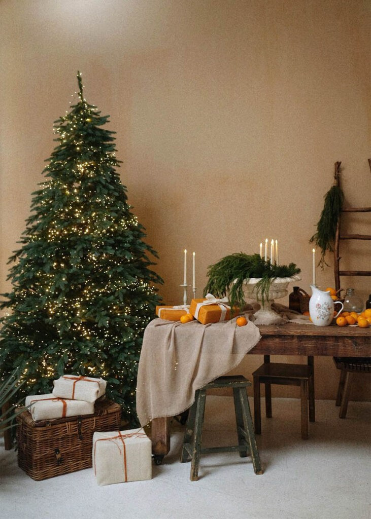 Где сделать красивую новогоднюю фотосессию в Москве, Мой личный рейтинг студий для праздничных съёмок, Фотостудии с атмосферой уюта и волшебства, Необычные локации для креативных новогодних кадров, Как выбрать студию под ваш стиль и настроение, новогодняя фотосессия в Москве, фотостудия для новогодней съёмки, лучшие фотостудии Москвы, новогодние фотостудии Москва, где сделать новогодние фото, фотостудии для бренд-съёмки, фотосессия в новогодней студии, идеи для новогодней фотосессии, бренд-фотограф Москва, фотосессия в студии Москва, rina_sphoto, Катерина Сысуева, Рина Сысуева, фотограф в Москве, бренд-фотограф для экспертов, Prostanstvo