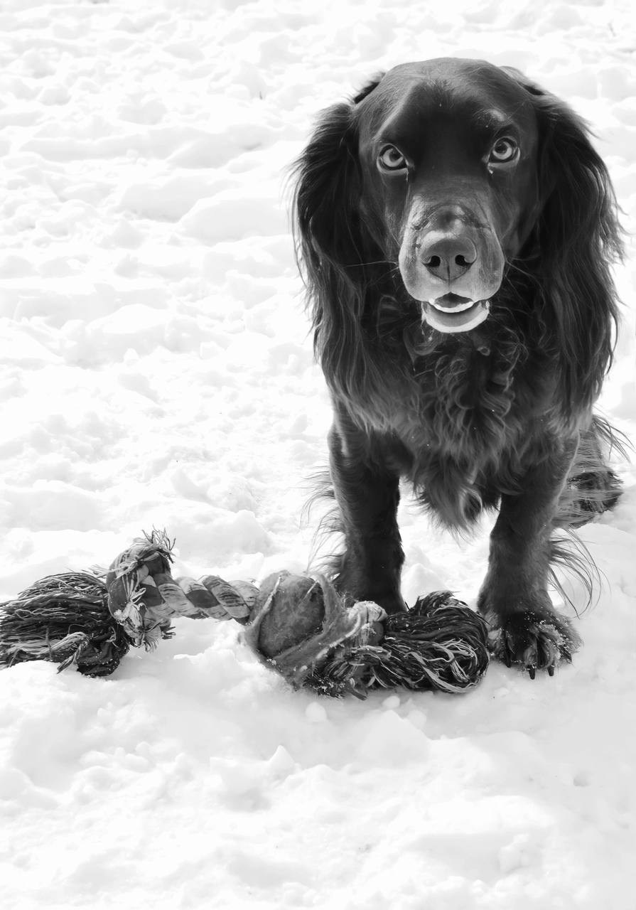 Хвостики. Портретный фотограф город Уфа