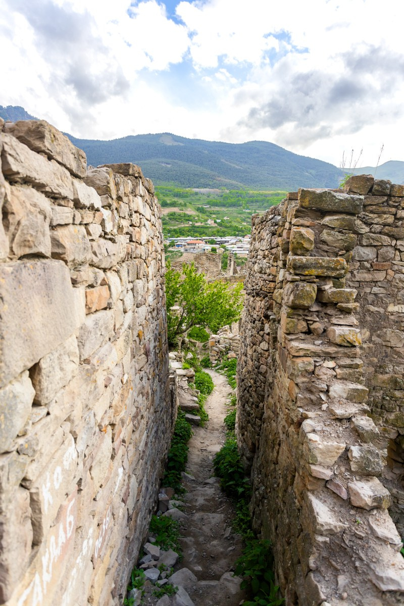 Аул Кахиб. Photomantis