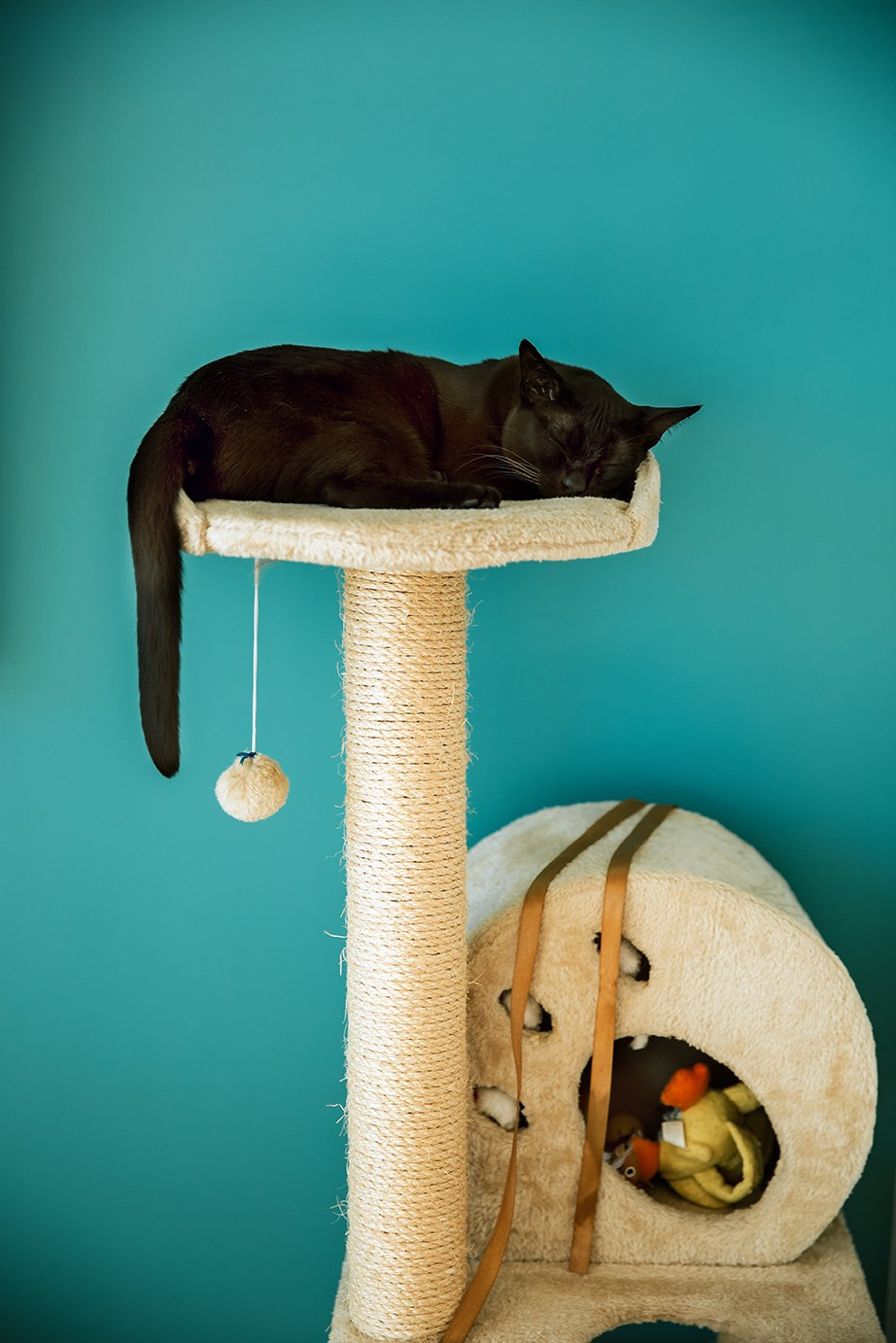 Семья. Семейный фотограф в Москве Екатерина Ширей