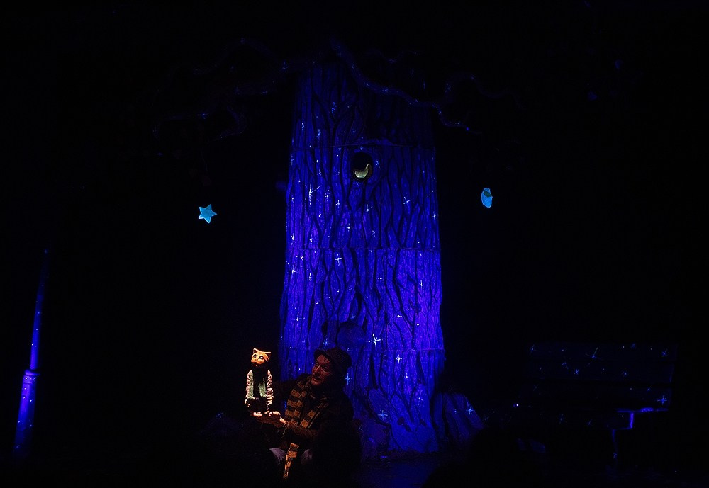 Сказки старого кота. Детский и семейный фотограф, фотограф мероприятий Нижний Новгород