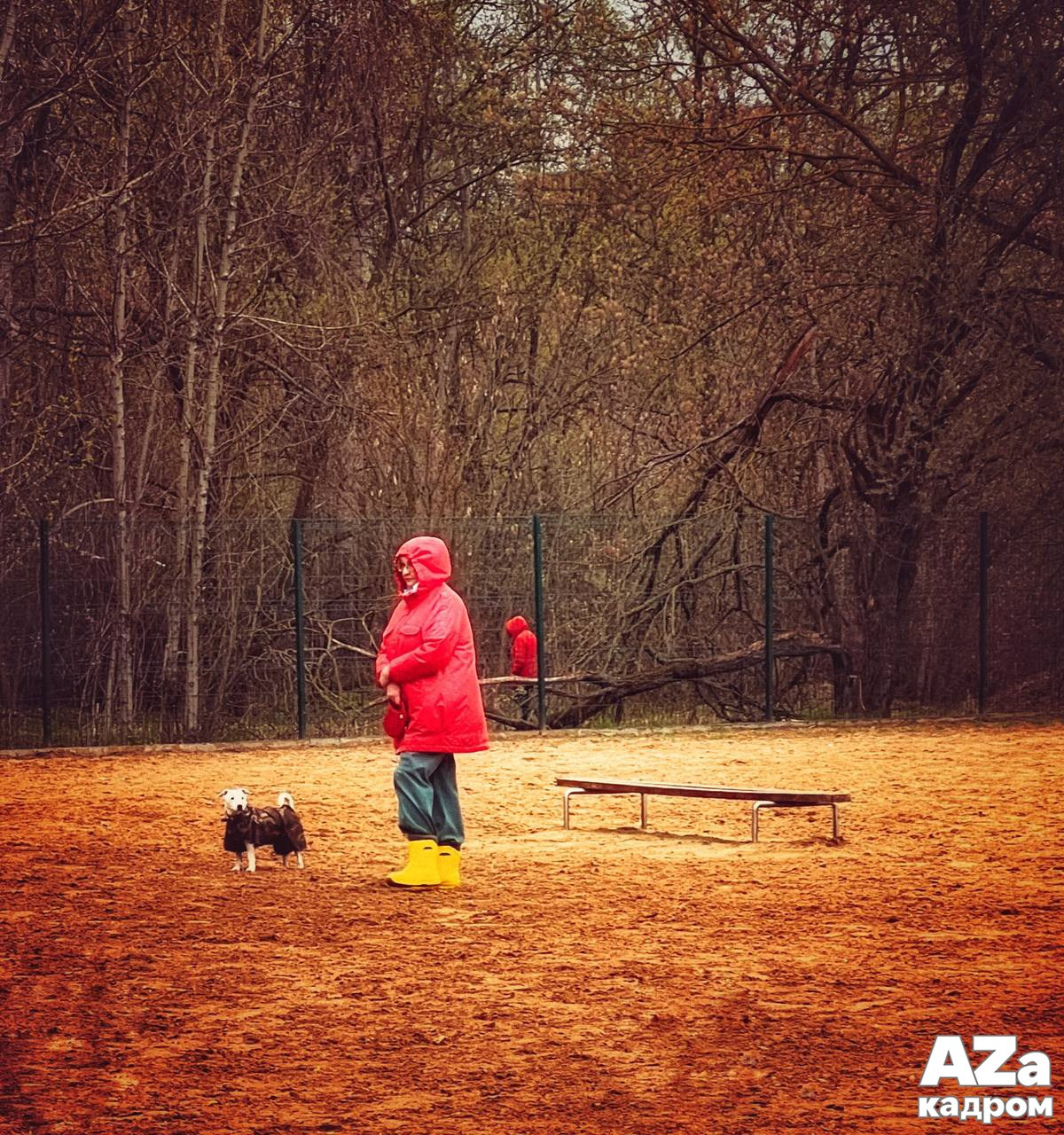 AZакадром «В поисках красного». Женский семейный фотограф Тула Москва Захарова Анна