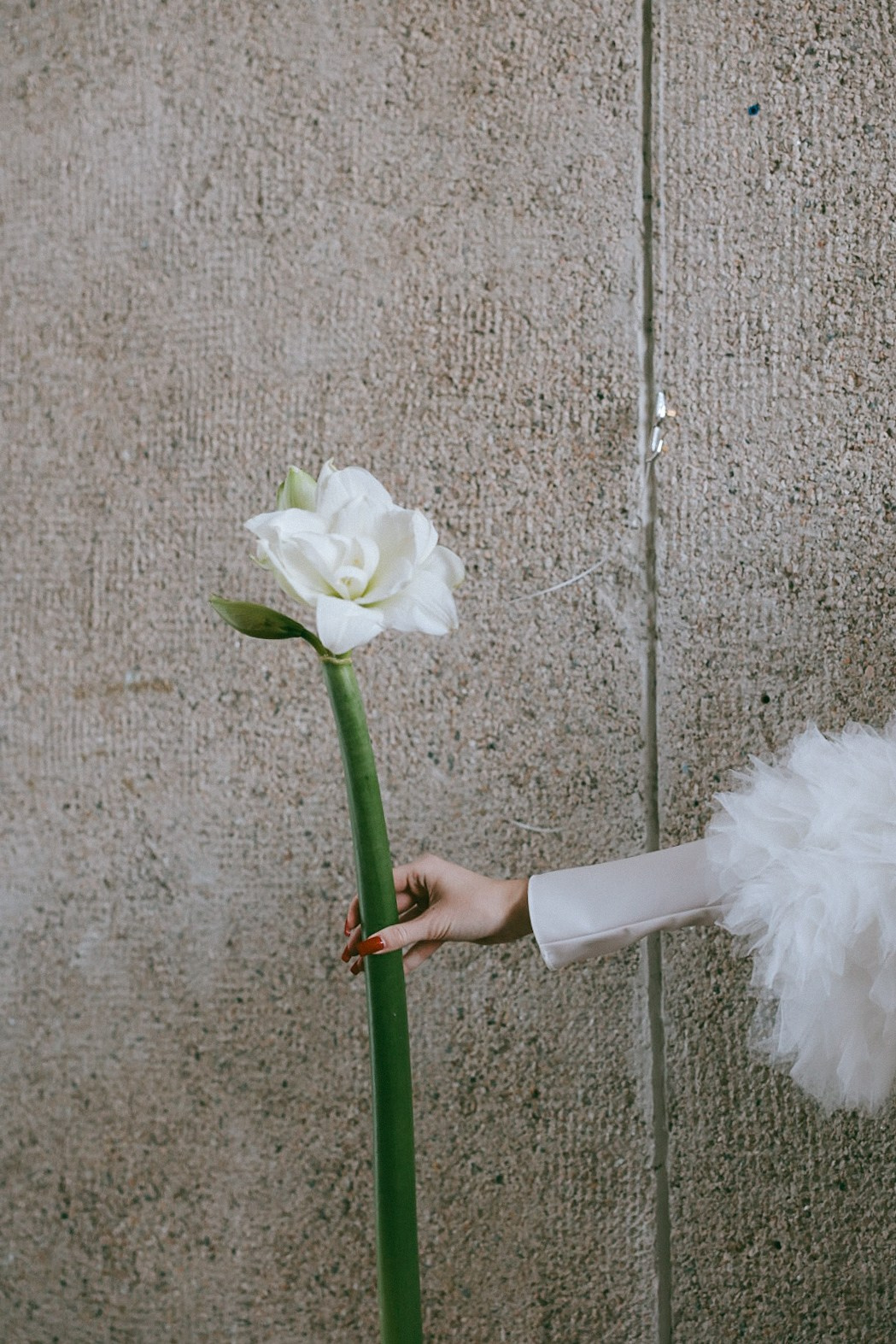 Яна. Фотограф Нижний Новгород