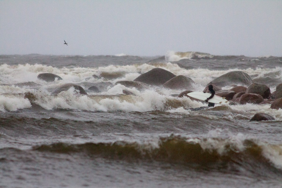 Сёрфинг. Виктор Вытольский —репортажный и событийный фотограф в Москве