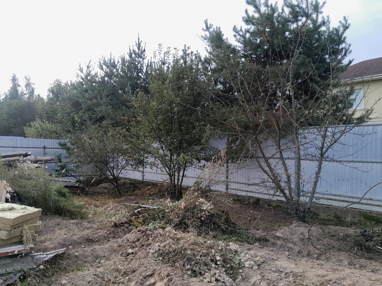 Расчистка участка 