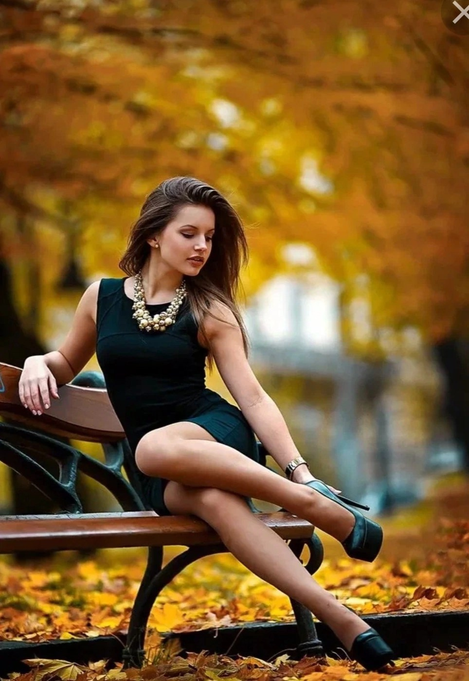 ПАРК, УЛИЦА