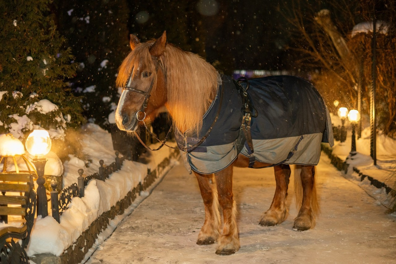 Отзывы. Фотовидео.рус