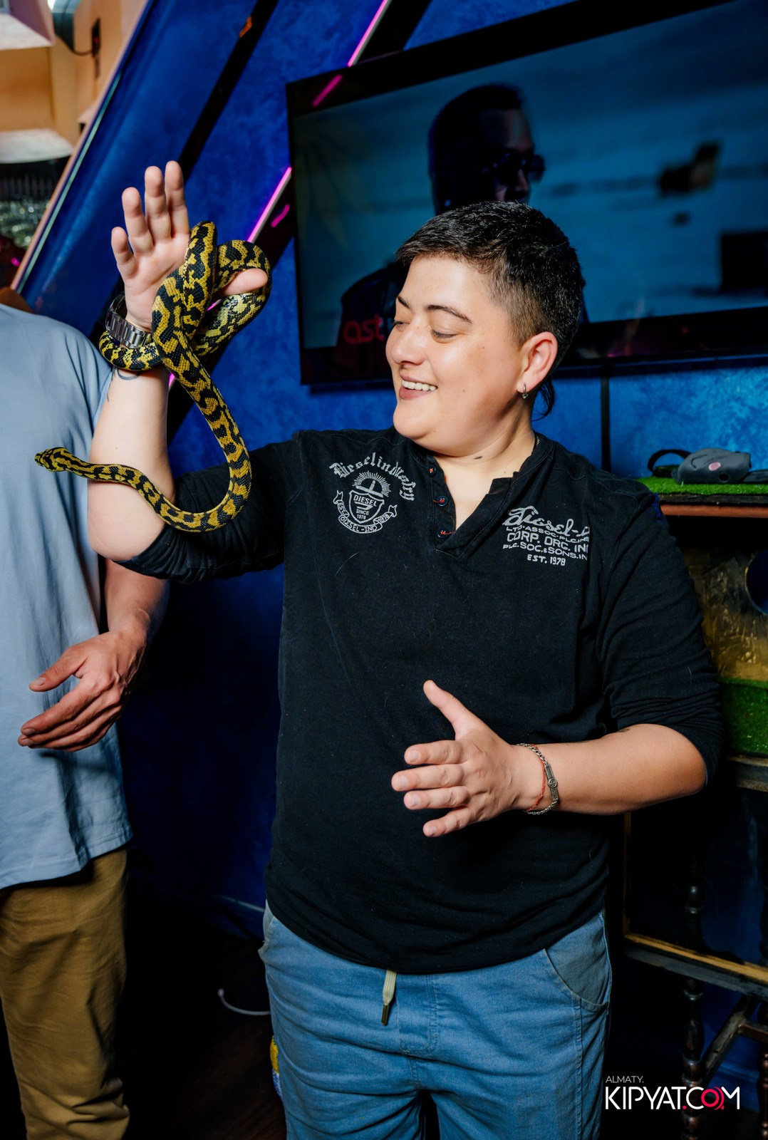 УХО И МЕДВЕДЬ НА САИНА. КИПЯТКОМ АЛМАТЫ!