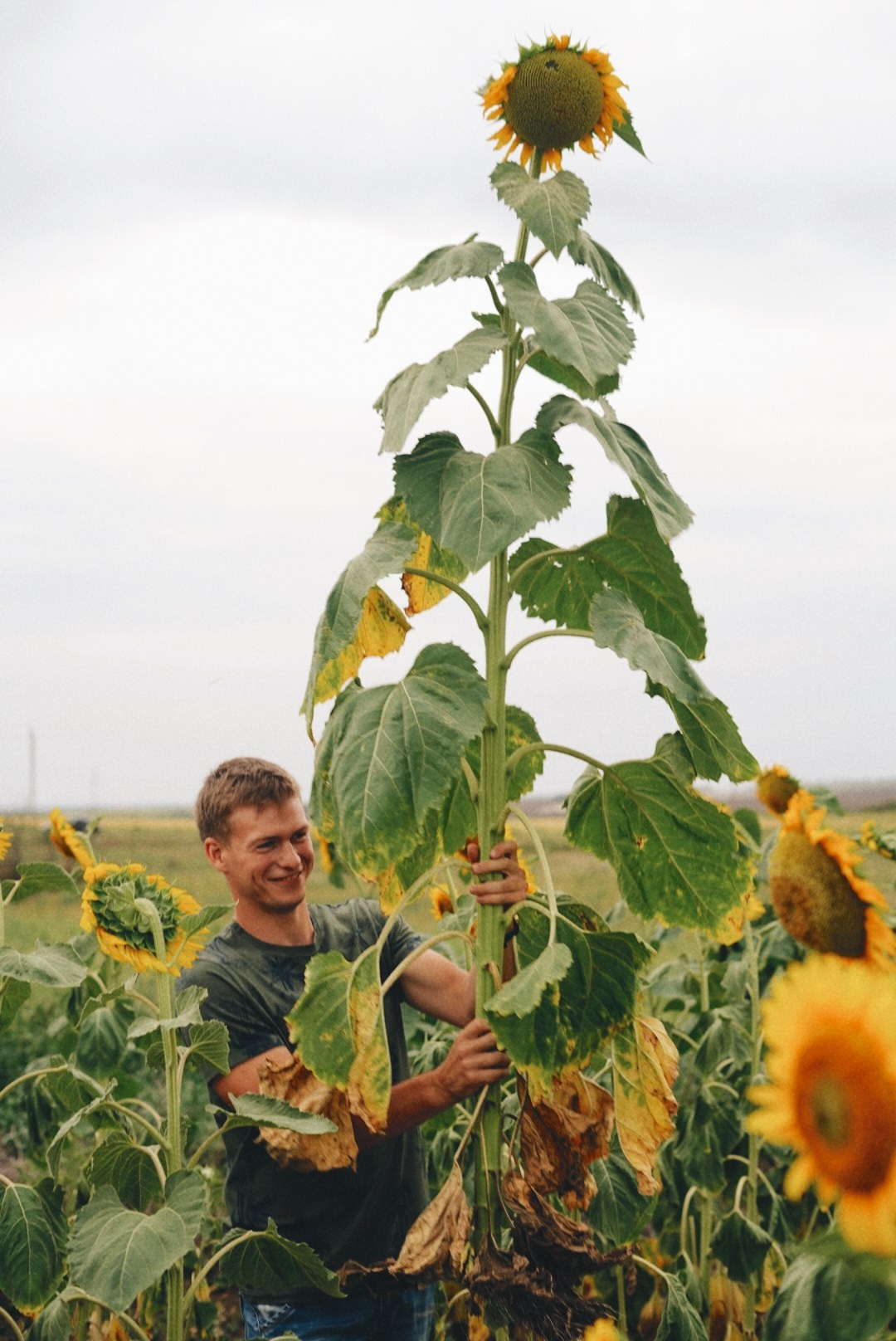 Андрей и Александра. Свадебный и портретный фотограф в Санкт-Петербурге Софья Каркачева