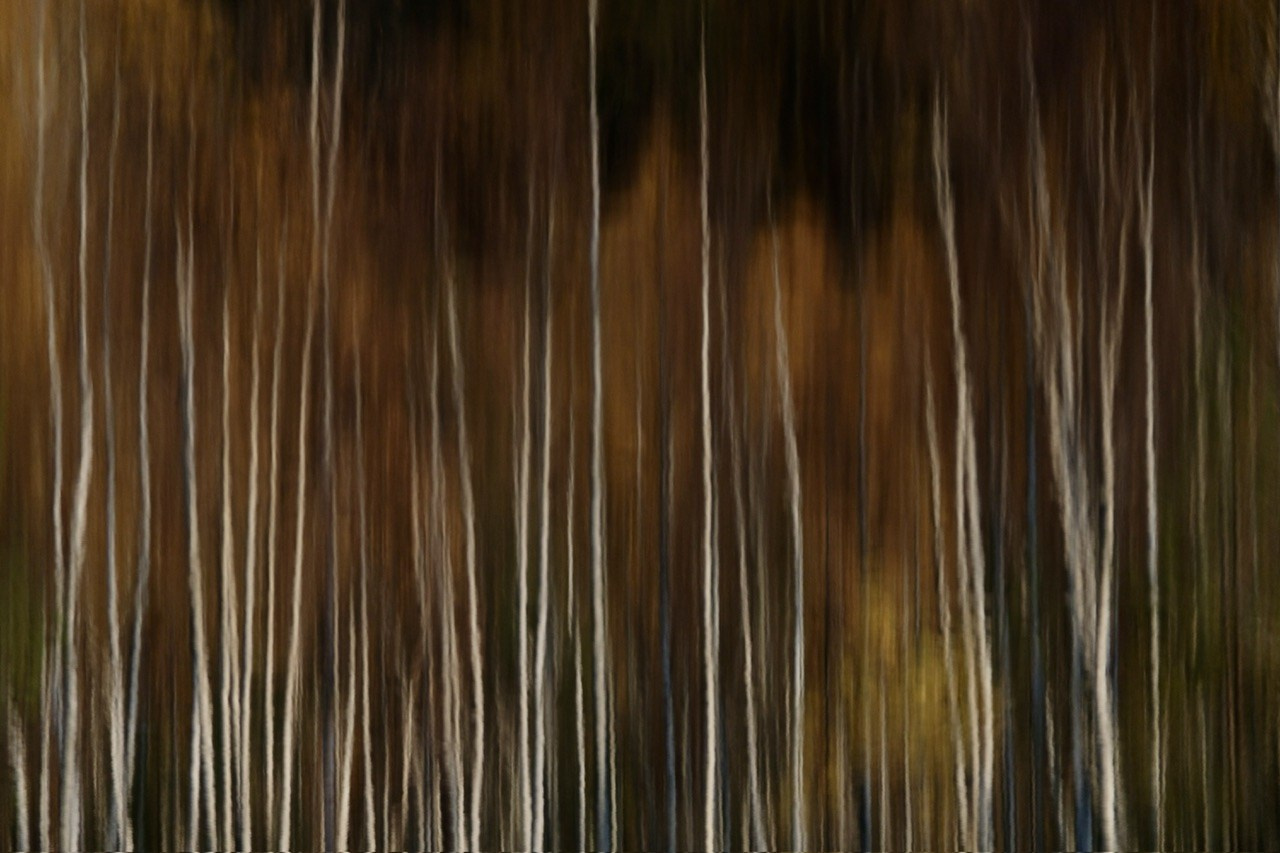 Архангельская область. Фотограф Евгений Андреев