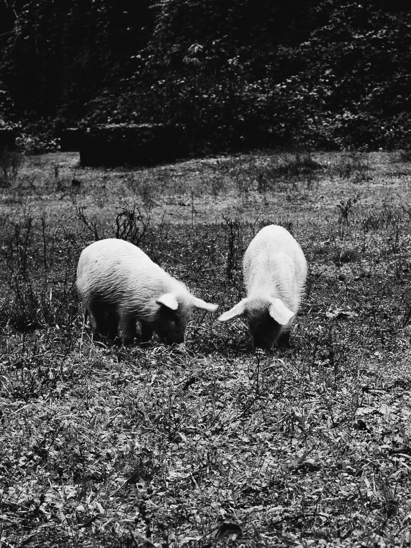 Постер. Lisphoto.ru