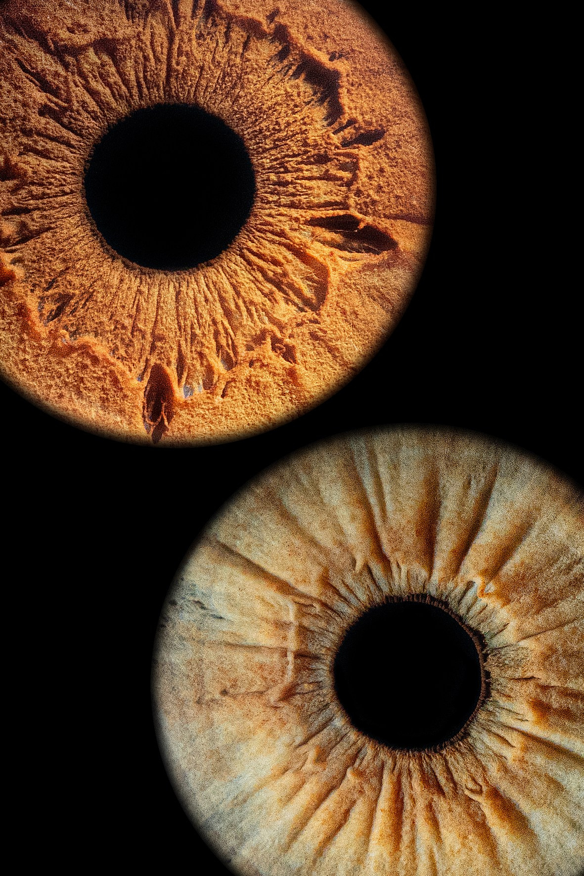 Примеры работ. Мой глаз