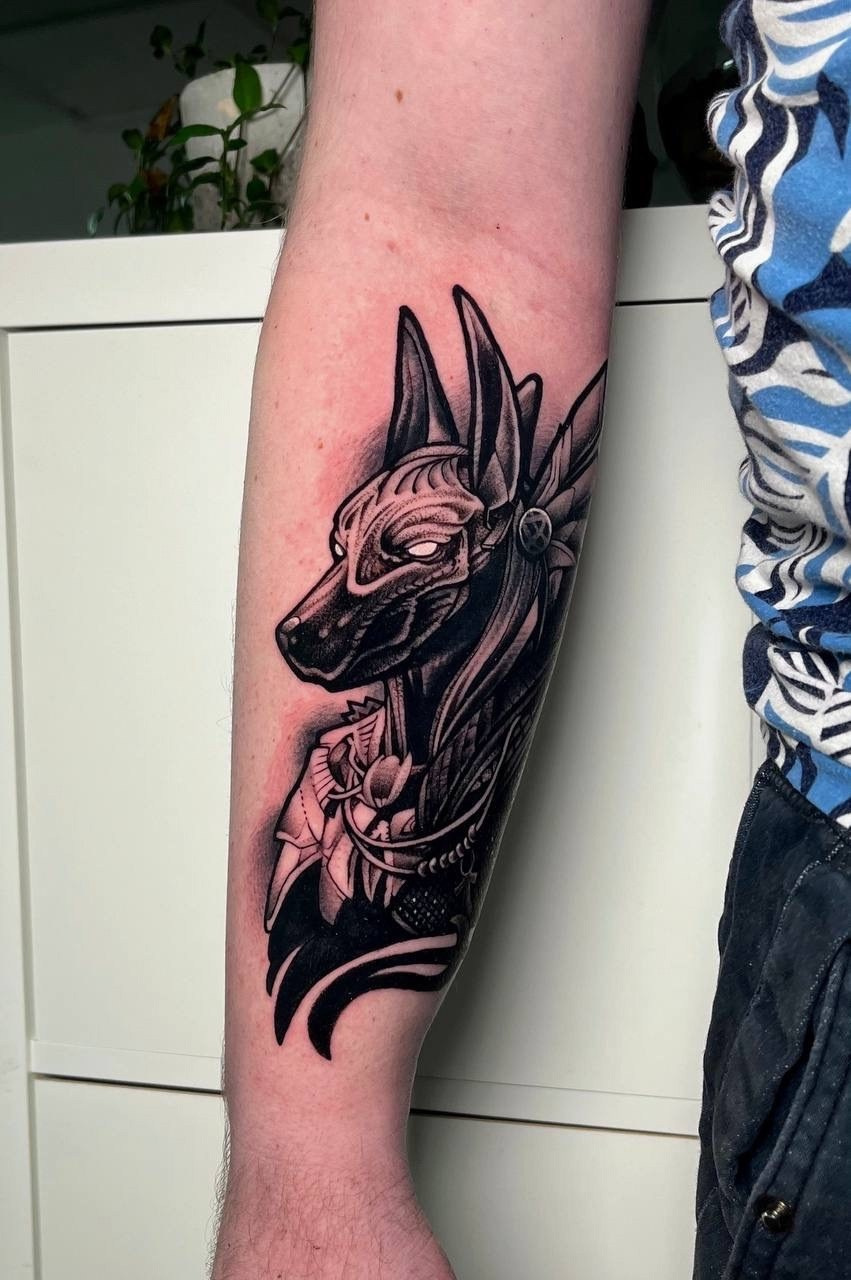 Работы Тимофея