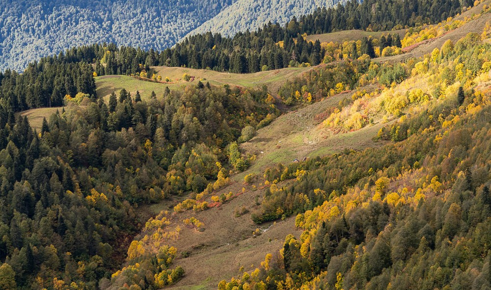 Трейловый бег «Альпиндустрия. Три курорта''. Репортажный фотограф в Красной Поляне и Сочи Павлюченко Екатерина