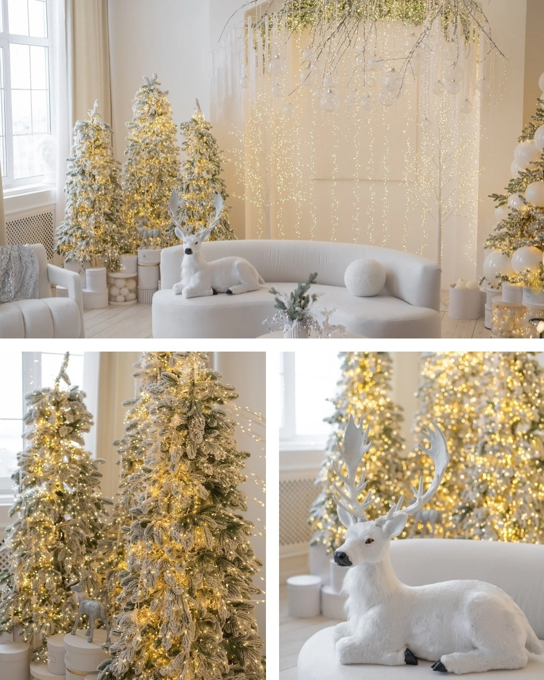 Фотостудия «Country house»(Герцена, дом 19 (Дом Быта на Герцена), 8 этаж, оф. 801, 803). Фотограф в Омске