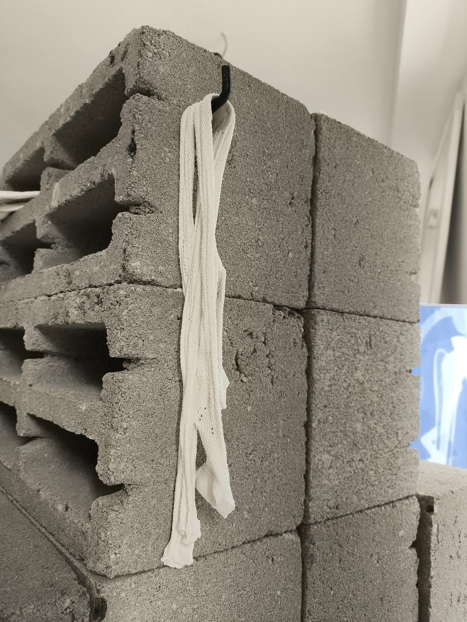 Проект *Стирание рутин*. Семенова Елизавета художник