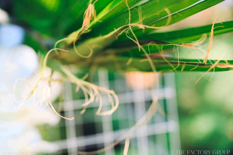 THE FACTORY. Организация мероприятий Донецк (ДНР). Организация и декор мероприятий Донецк (ДНР)