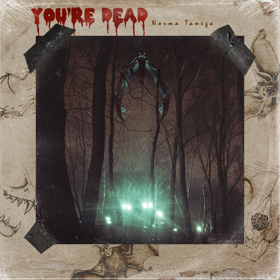 Музыкальные обложки. Фёдор Малюгин. Ваш бади в визуале