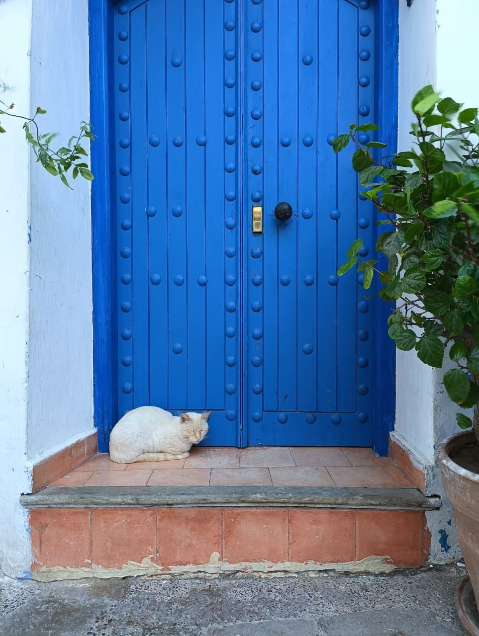 Марокко. Кибернетика и гармония