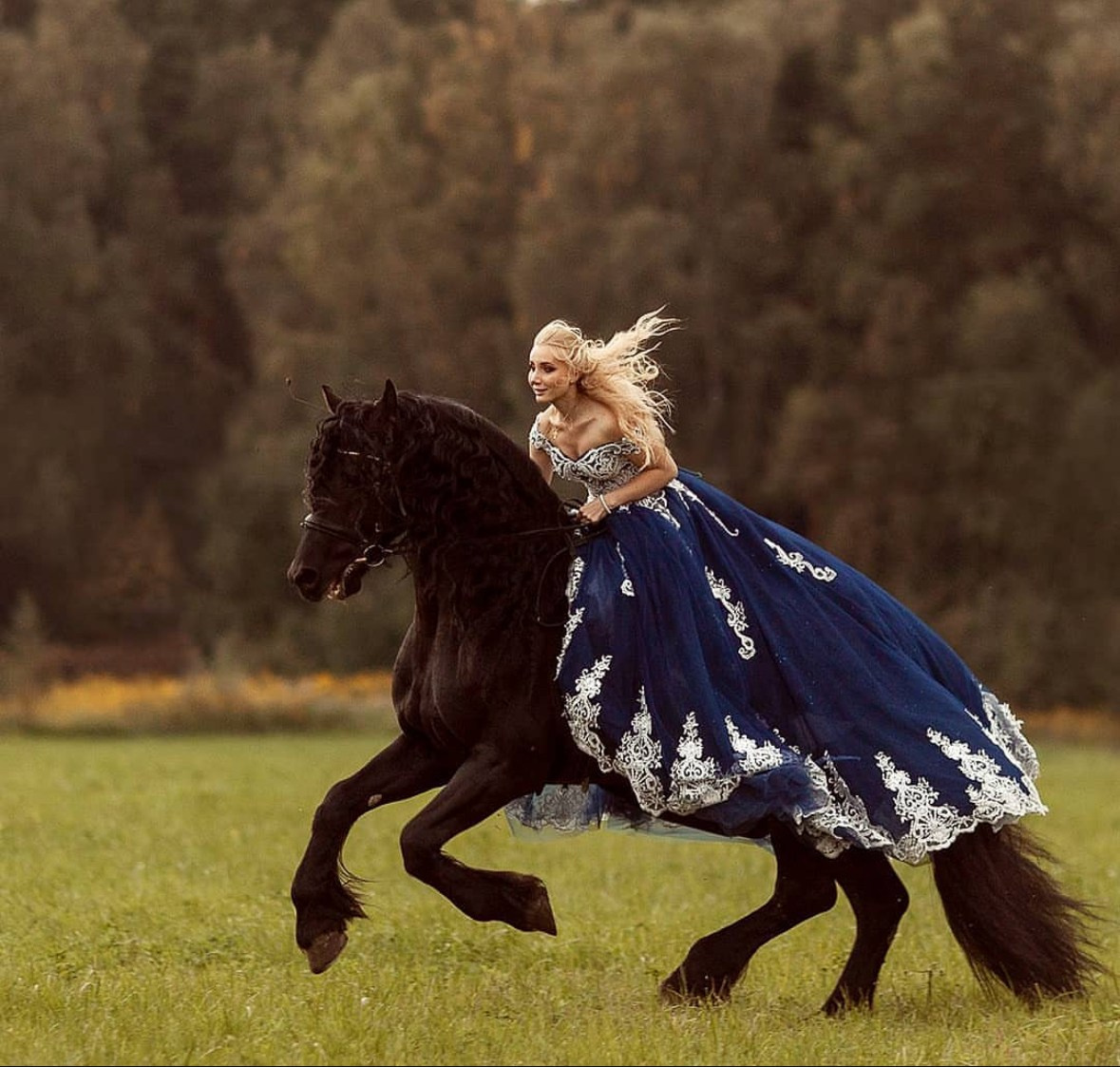 Портфолио и примеры работ с фотосессии с трюковыми лошадьми. Фотосессии с лошадьми в Москве от Конный фотографа Кутейниковой Светланы