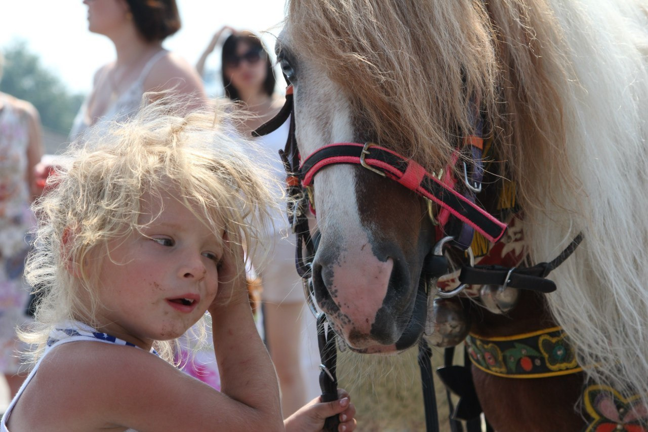 Семейные фотосессии, фотограв в Сочи, Свадебая фотосессия, свадьба Соч. Фотограф в Сочи! Детские, семейные свадебные фотосессии! Главный эмоци