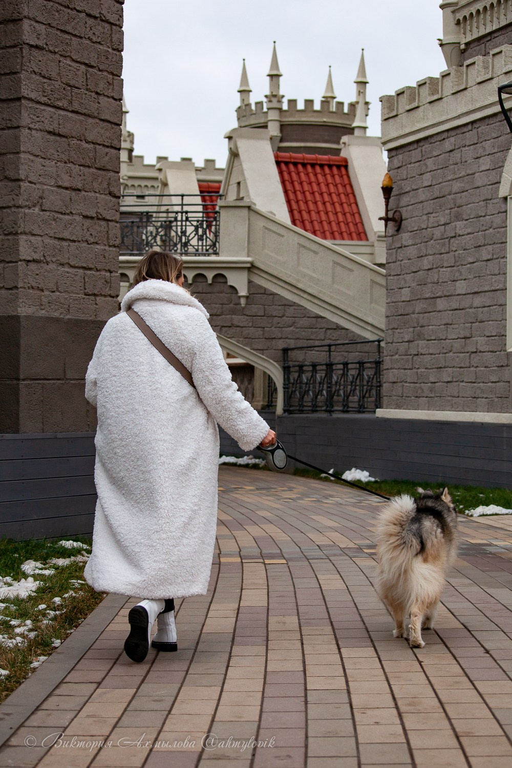 Прогулка с Хаски (Настя). Виктория Ахмылова. Фотограф в Москве