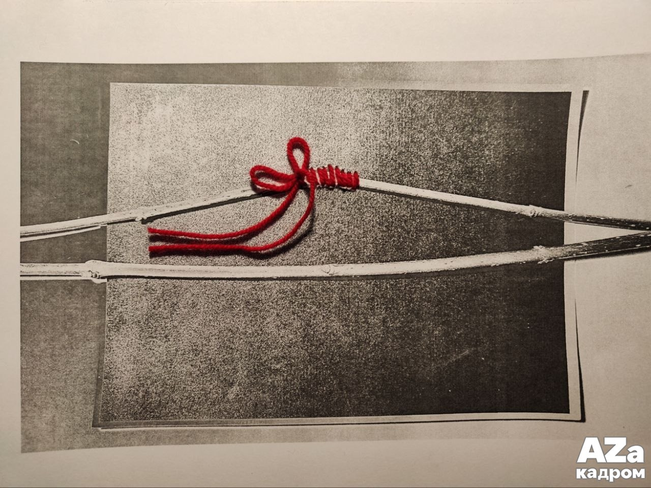 AZакадром «В поисках красного». Женский семейный фотограф Тула Москва Захарова Анна