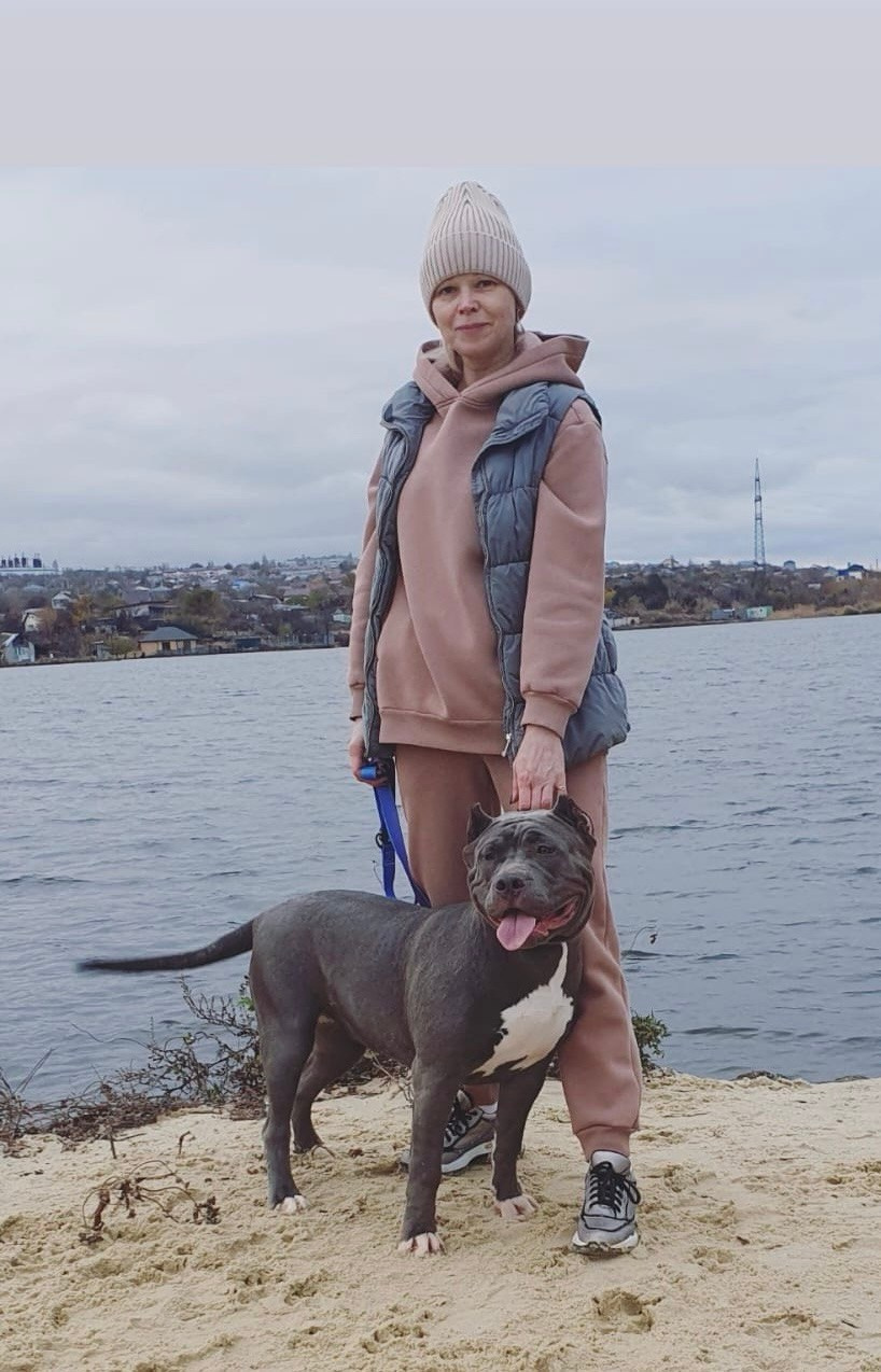 UPB’s Queenie & Zeus. 16.04.24. Американские булли XL в г. Калининград. Питомник Great Bully UNIVERSE