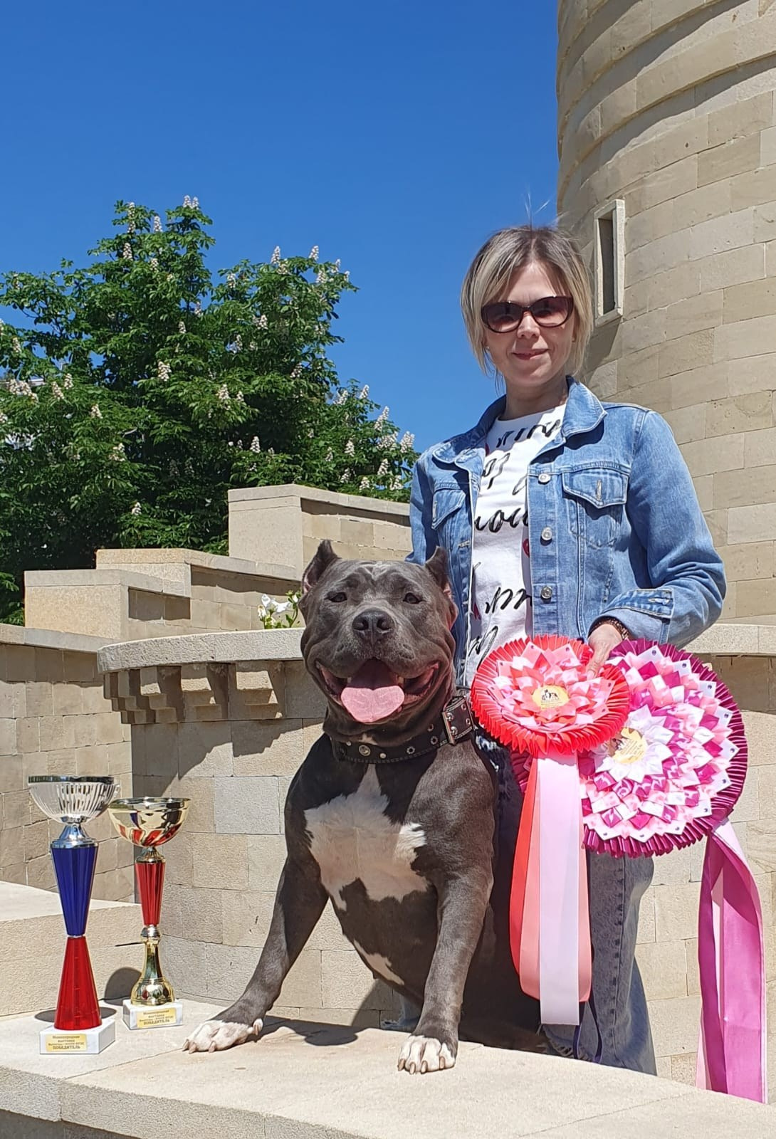 UPB’s Queenie & Zeus. 16.04.24. Американские булли XL в г. Калининград. Питомник Great Bully UNIVERSE