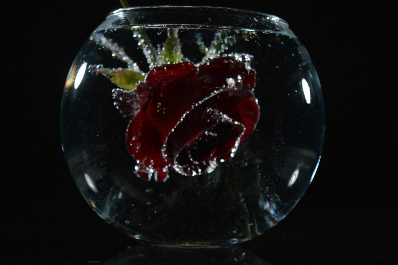 Курсы для школьников 12-17 лет. Photographer for business Mikhail Semenov. Aqua photo studio, photo school