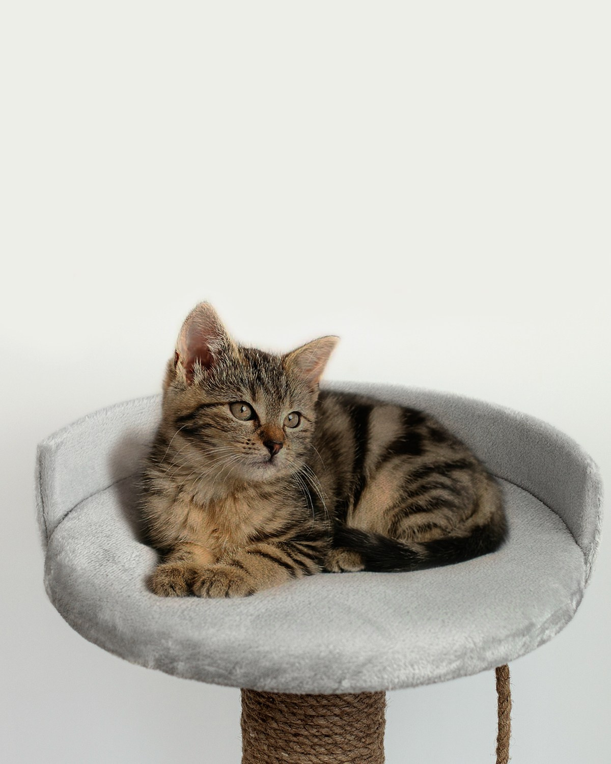 Предметная съемка. Предметная фотосъемка в г. Екатеринбурге