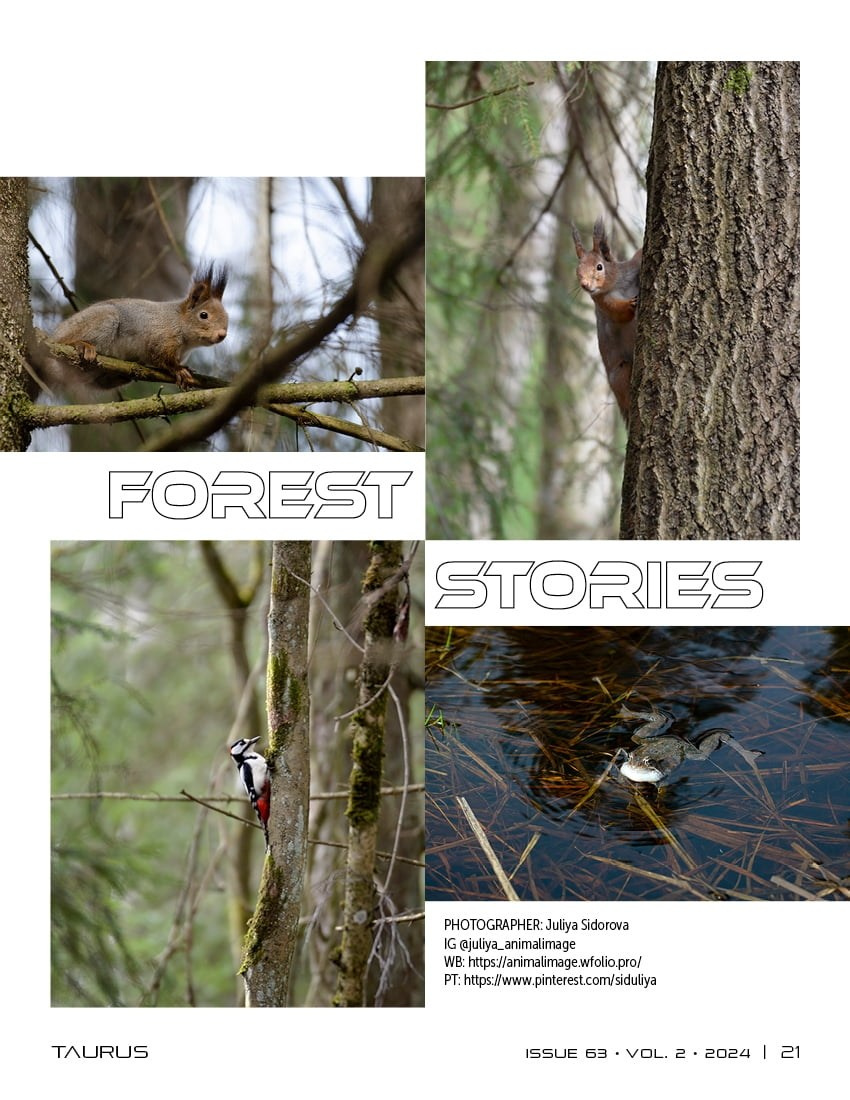 Публикации. Фотограф анималист