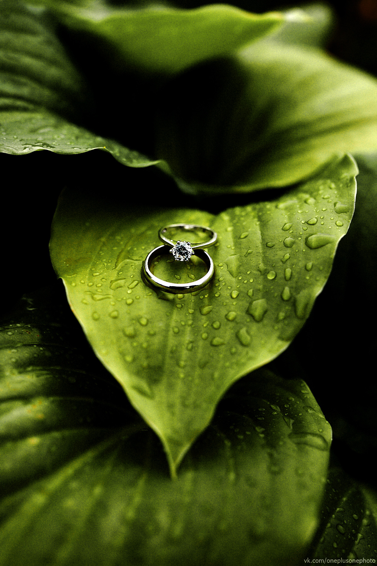 Ясин и Екатерина. Свадебный фотограф Чайковский