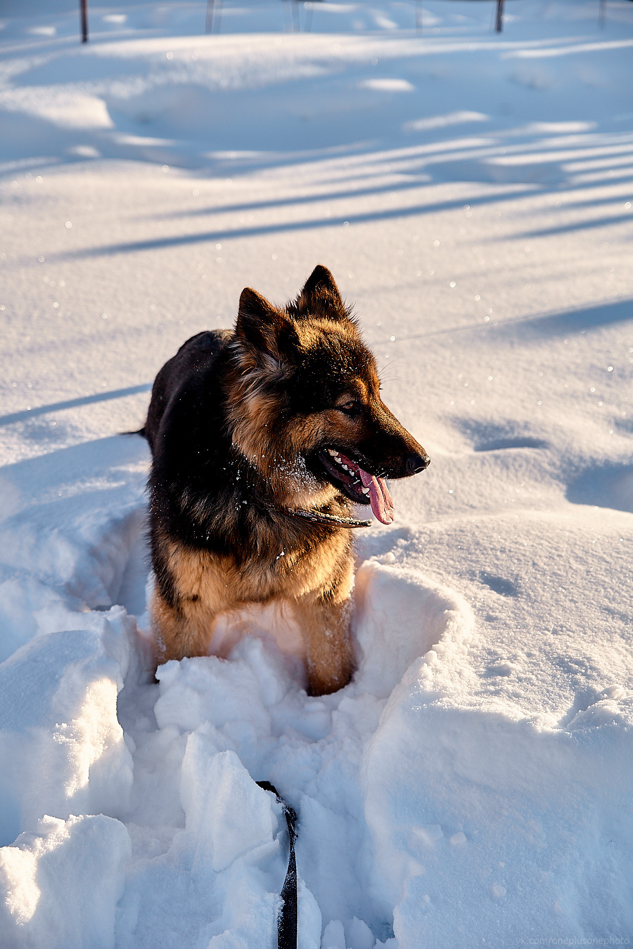 Вова, Лена, Матвей, Ваня и Андрей. Свадебный фотограф Чайковский