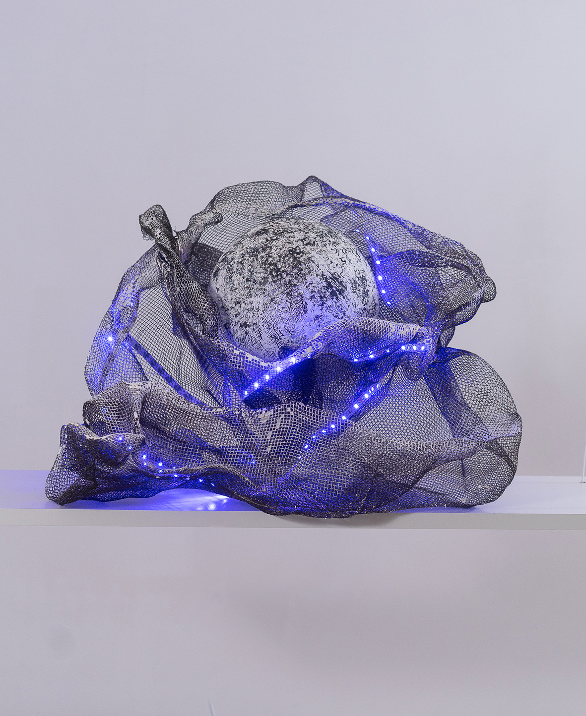 Проект «Незабудки». Художник Ольга Гражданкина