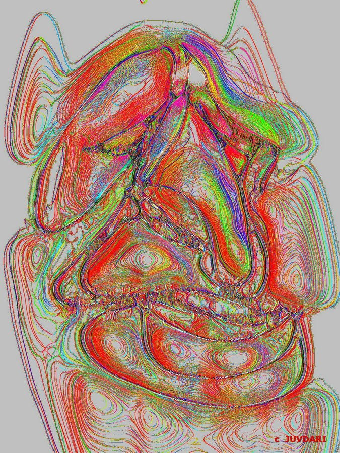 Жданов Юрий Васильевич. Галерея участников Российской Премии Искусств